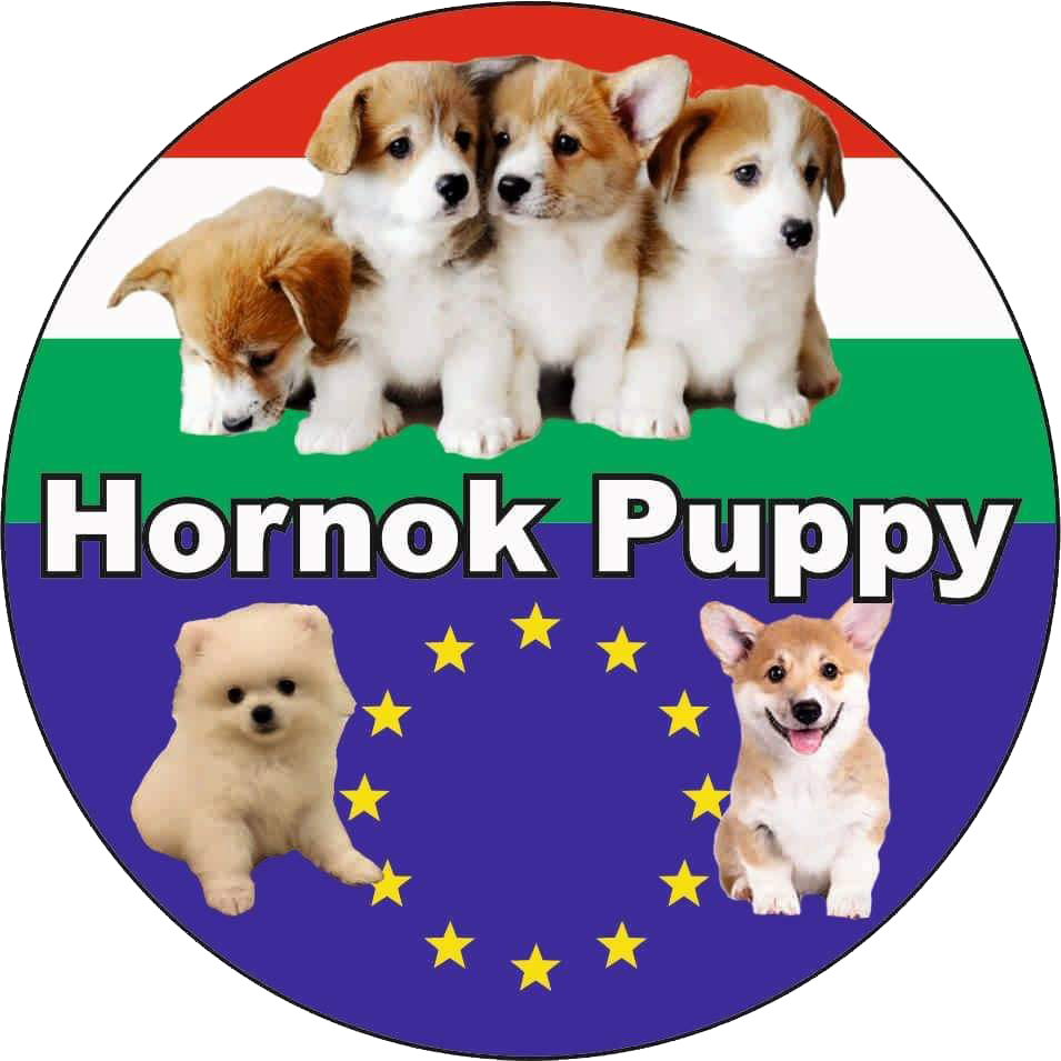 hornokpuppy.com